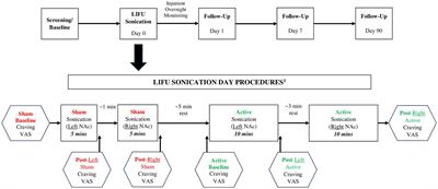 Low-intensity focused ultrasound targeting the nucleus accumbens as a potential treatment for substance use disorder: safety and feasibility clinical trial